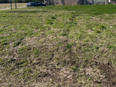 LOS PINOS 2, ALVAREZ